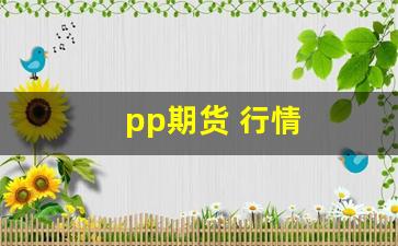 pp期货 行情(期货pp是指什么品种)_https://www.tuogunzhijia.com_道指期货_第1张